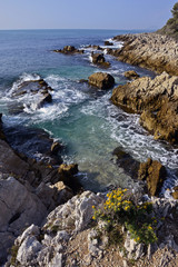 Fototapeta na wymiar Cap d'Antibes lubiący przejściowych mer01