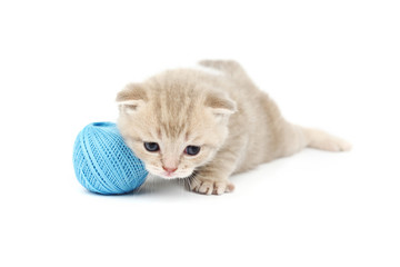 cat and blue wool ball