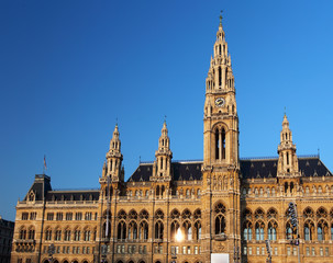 Fototapeta na wymiar Vienna's City Hall