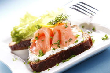 Tasty sandwich with salmon