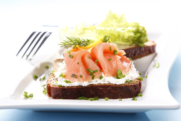 Tasty sandwich with salmon
