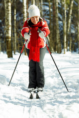 skiing in the forest