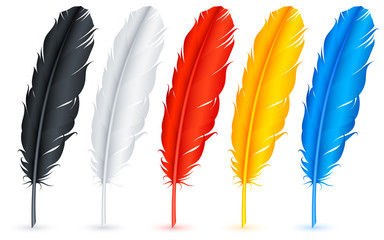 Feathers. © Timurock