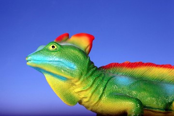 Drache