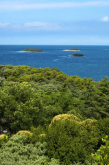 Obraz premium Croatia Vrsar Vegetation Mediterranean sea and three islands