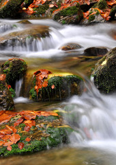 Fototapeta na wymiar autumn creek in bohemia
