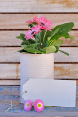 pot de fleurs et étiquette