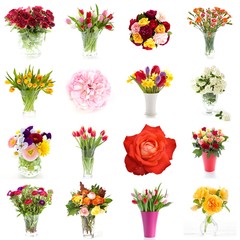 flower collection