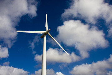 Fototapeta premium renewable energy, wind turbine