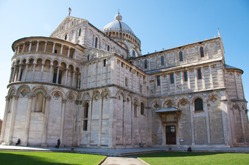 Naklejka premium Pise16