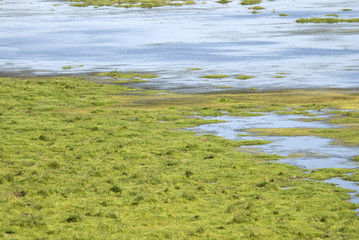 Amboseli National Park