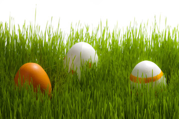 Easter Eggs on green grass
