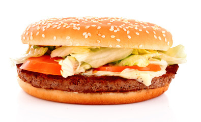 burger on white background