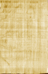 Egyptian  papyrus