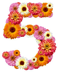 arabic numeral, five