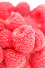 fresh raspberry