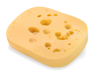 piece of cheese