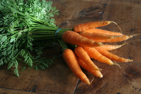 botte de carotte