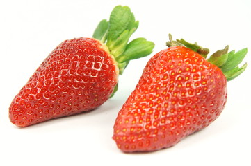 Erdbeere