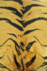 tiger skin pattern