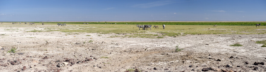 Amboseli National Park