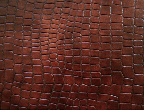 Leather with crocodile dressed texture.