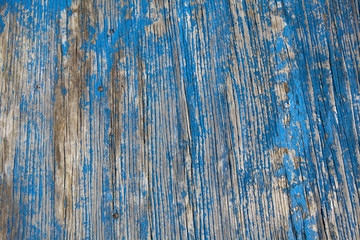 Fototapeta na wymiar legno azzurro