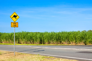 Kangaroo road warning sign