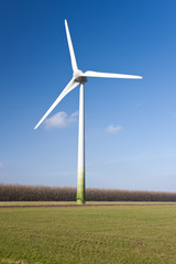 Windturbine in the grassland of Flevoland, the Netherlands