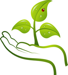 Green life in hand, vector