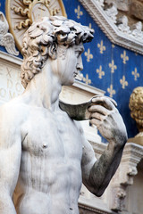 David Statue von Michelangelo auf der "Piazza della Signora"