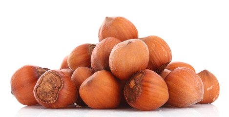 Hazelnuts Isolated on White Background