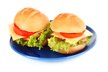 Sandwich isolated on white