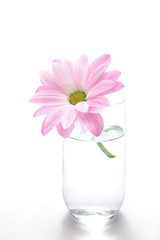ピンクの花とグラス