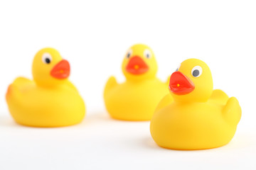 Rubber ducklings