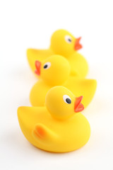 Rubber ducklings