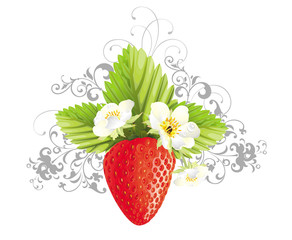 Floral illustration with strawberry and flowers