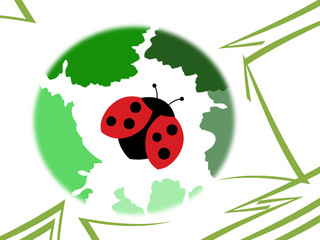 Ladybug on ilustrate background