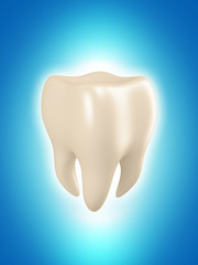 Tooth, isolated on white