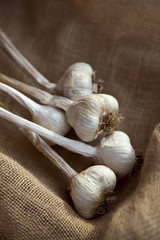 ail, gousse, bulbe, condiment, cuisine, ingédient, recette