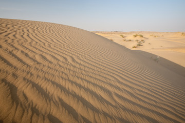 Sand Dune Waves Desert