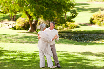 Fototapeta premium Senior couple dancing in the park