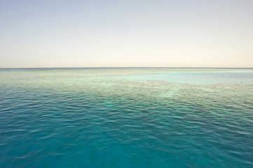 Tropical sea with coral reef