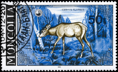 MONGOLIA - CIRCA 1984 She-deer