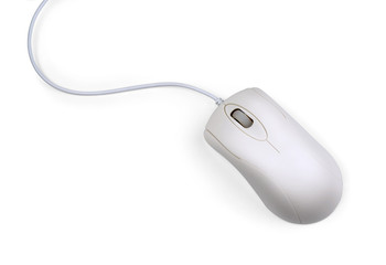 Gray computer mouse - top view
