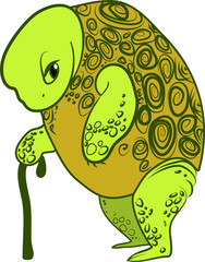 Old turtle