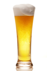 glass of beer