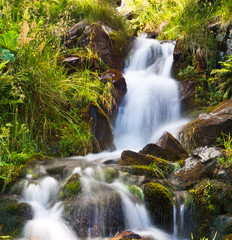 Small natural spring waterfall surrounded by moss and grass