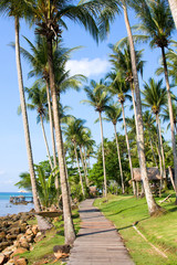 Beautiful tropical beach in Koh Kood , Thailand