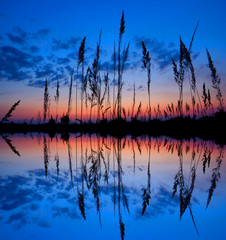 colorful sunset over a wetland